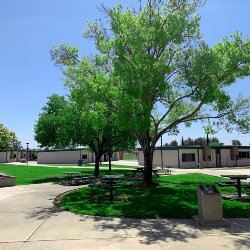 carl smith middle school